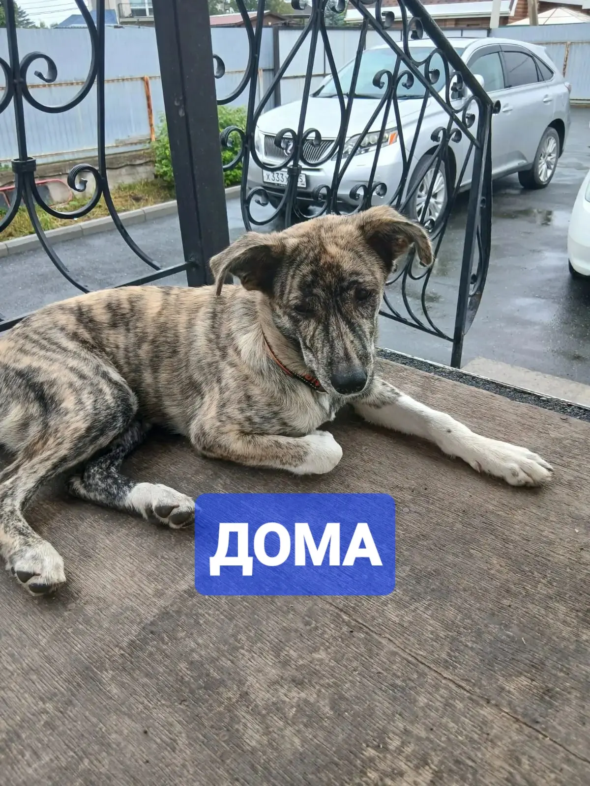 🆘 ВЛАДИВОСТОК