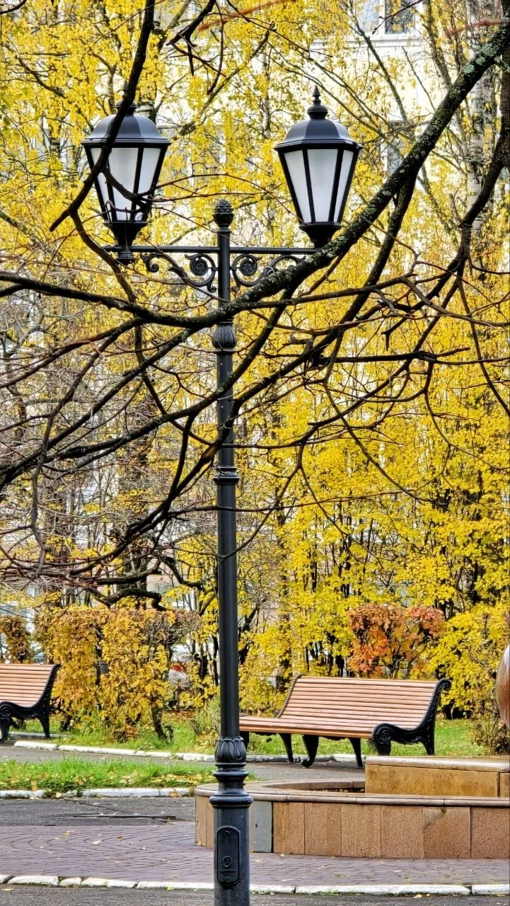 Осенний, осенний Сыктывкар.