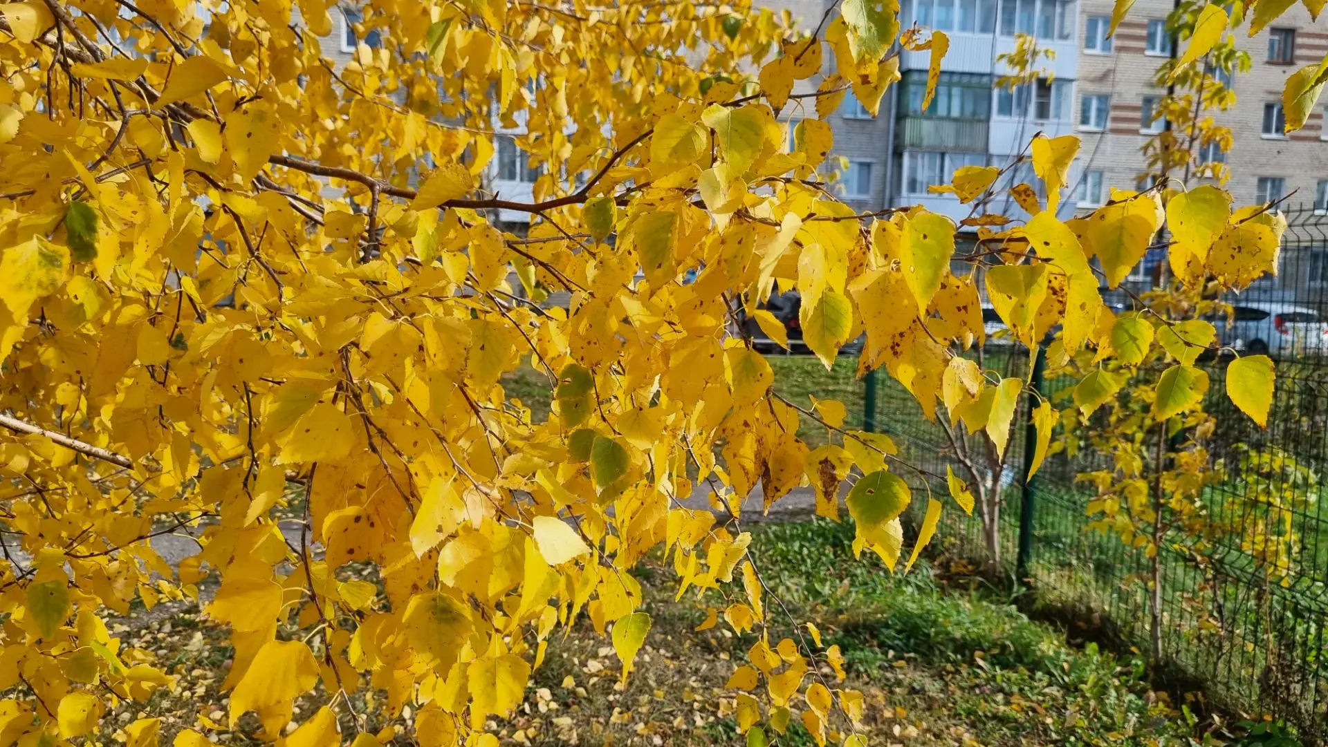 Осеннего очарования пост🍁🍂
