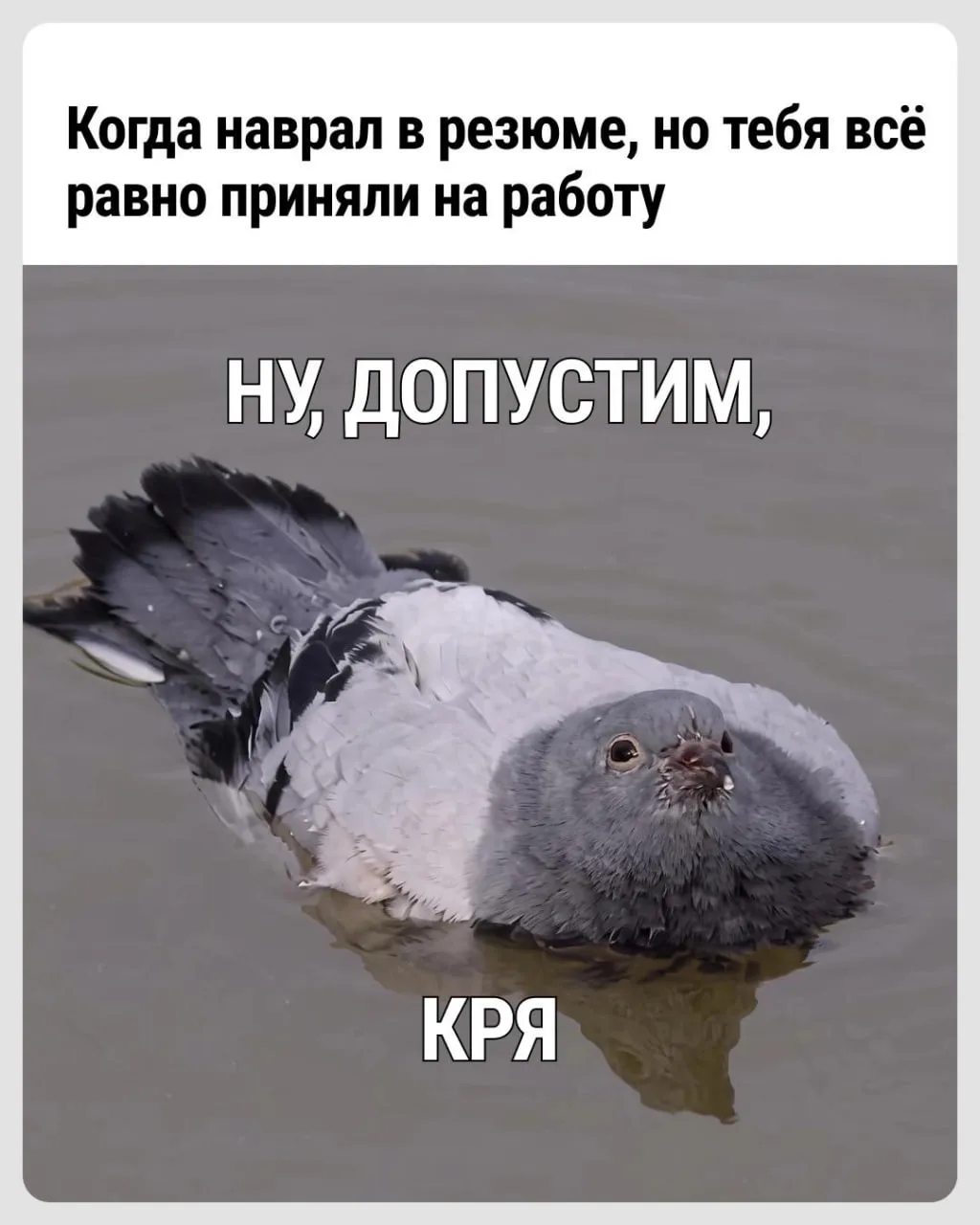 Нужно только хорошо вжиться в роль, тогда никто ничего не заподозрит 😄