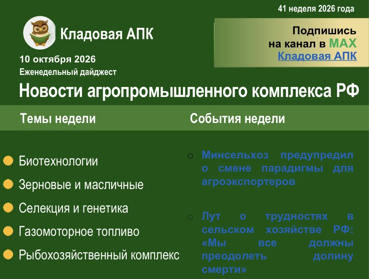 ☀️ Еженедельный дайджест: