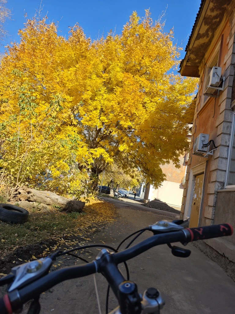 Осень золотая. Солнечные дни 🍁