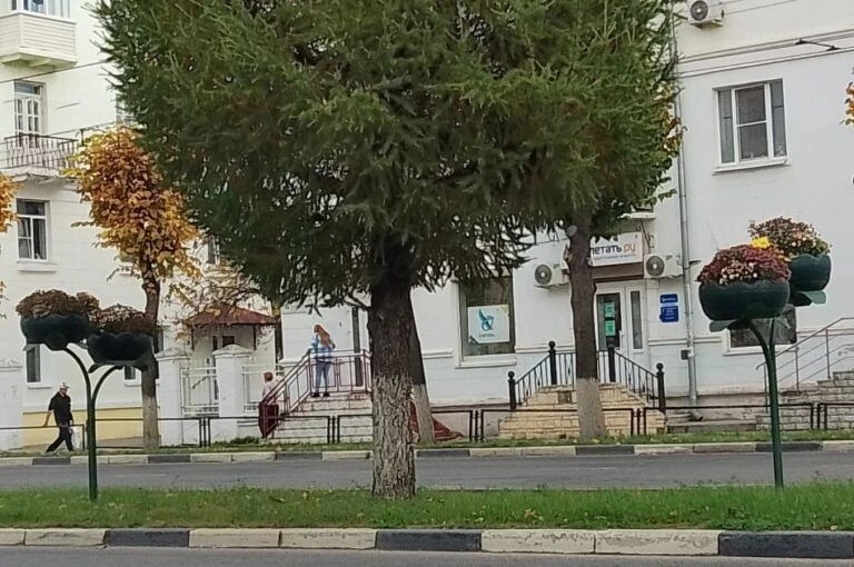 Осень уходит из Коврова вместе с цветами 🌿