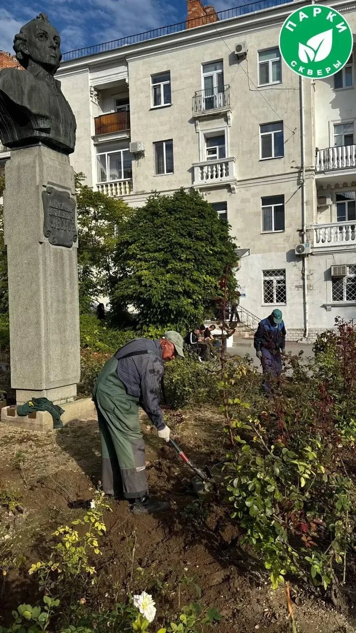 На площади Суворова высадили молодые кусты роз. Специалисты подобрали сорта, устойчивые...
