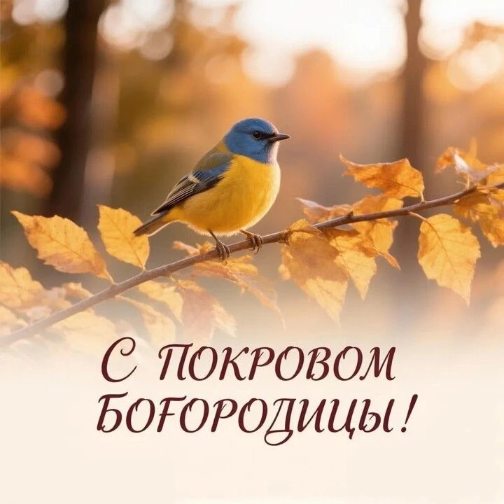 🍂 Покров Пресвятой Богородицы