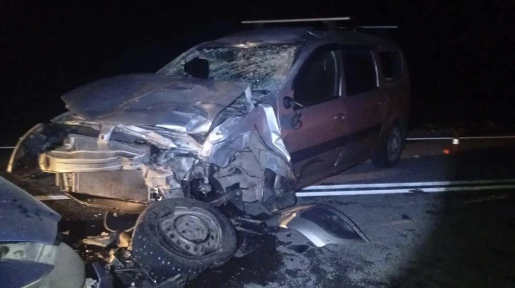 На Алтае семья с годовалым ребёнком чудом выжила в ДТП с конём