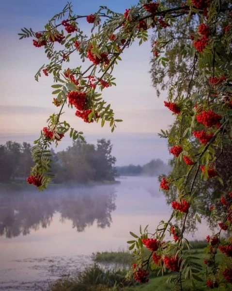 🍁 Доброе утро, дорогие братья и сестры!