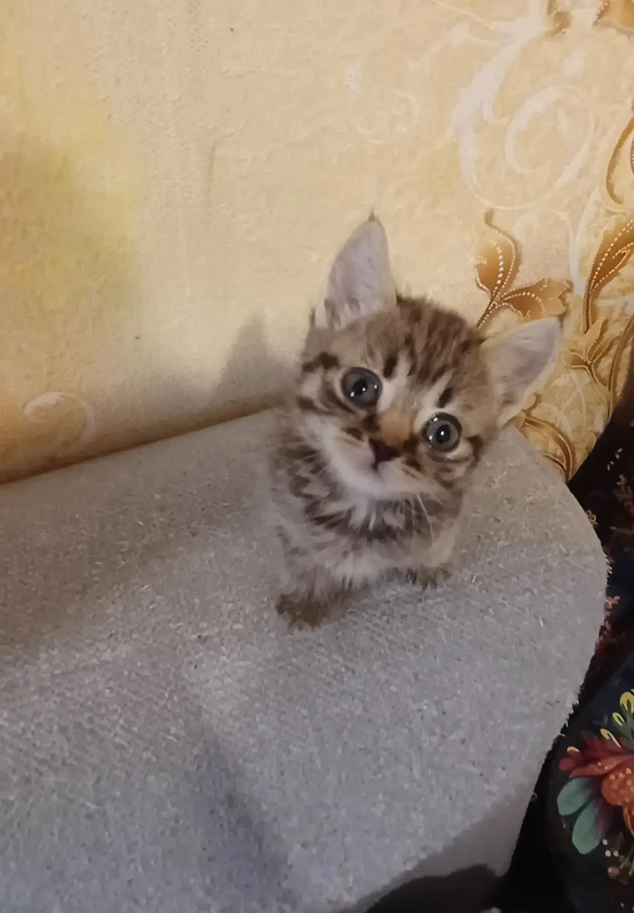 🫣🆘❤️‍🩹Люди стали совсем без душные и бессердечные .