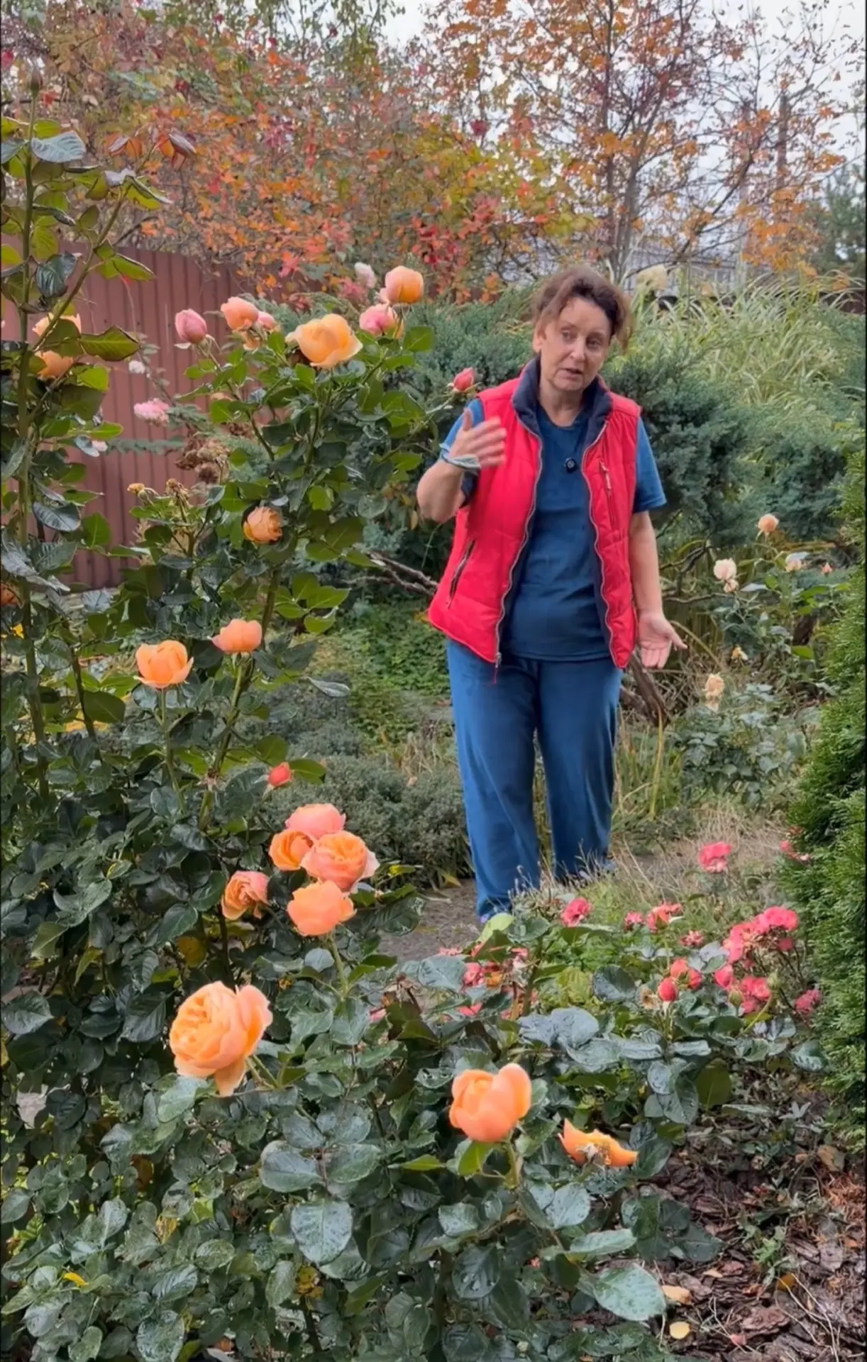 Сорт