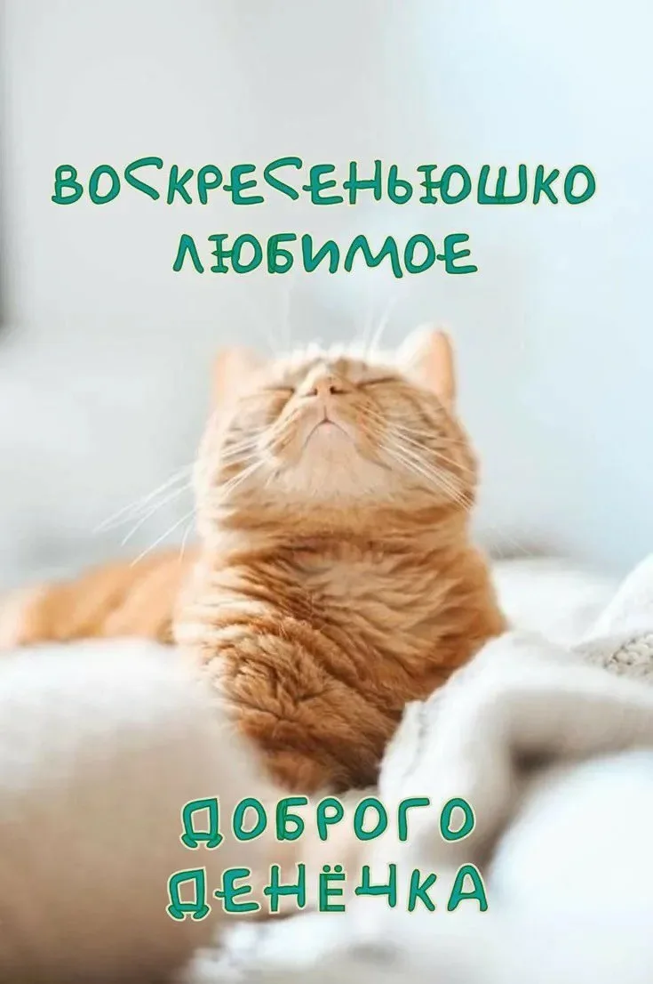 ✨ Если не знаете что делать, не делайте ничего...