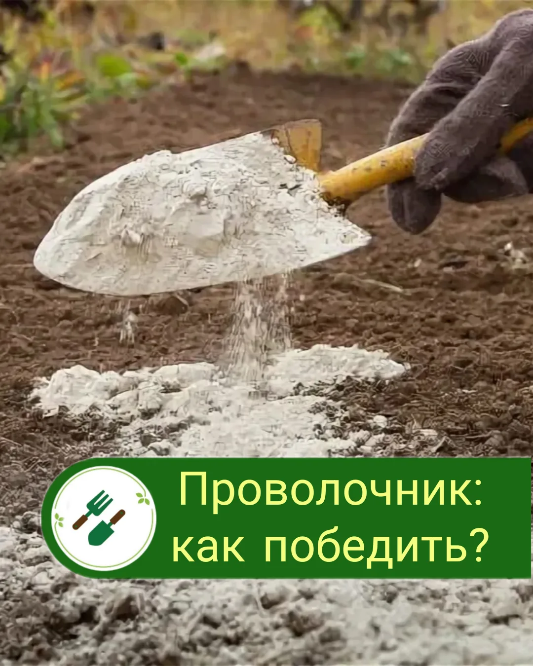 🥔🪱Осень — это не только время собирать урожай, но и лучший момент, чтобы избавиться о...