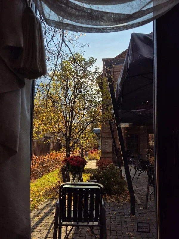 Идём в уютную кофейню в Павловске 🍂