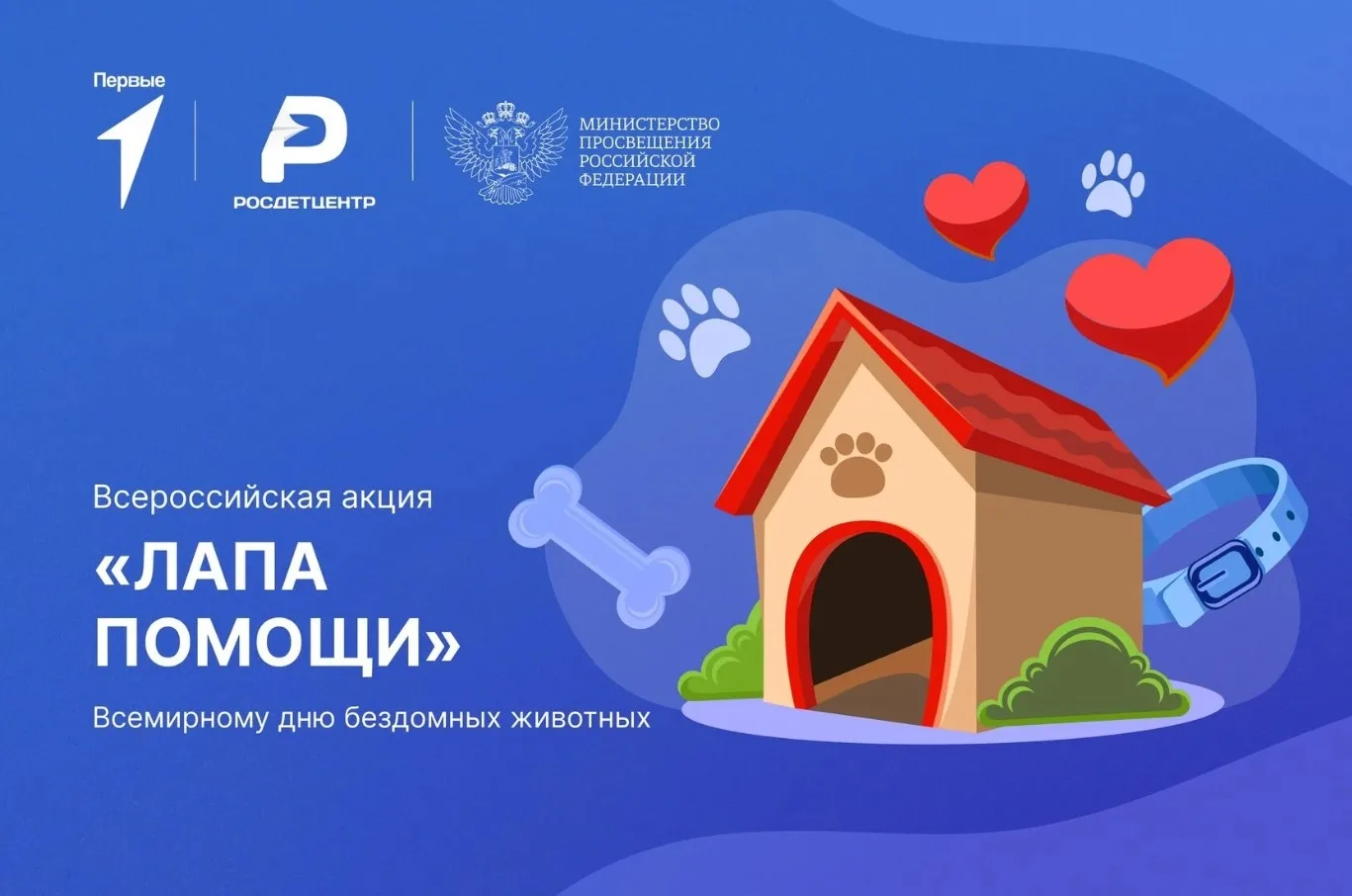 🐾 Подари заботу тем, кто ждет: запускаем акцию «Лапа помощи»!