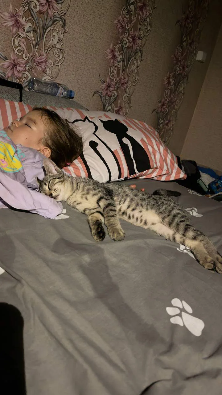 Грузинское гостеприимство не прошло мимо нас ☺️ У мужа огромное количество родственнико...