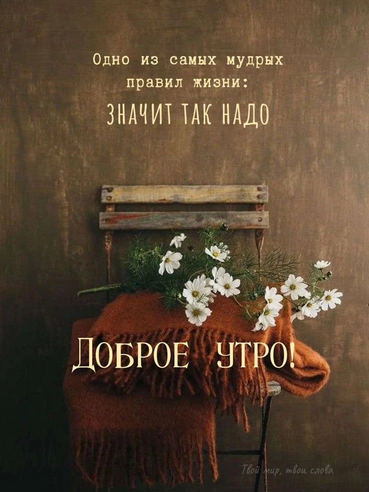 💞ЭСТЕТИЧНЫЕ ОТКРЫТКИ💞