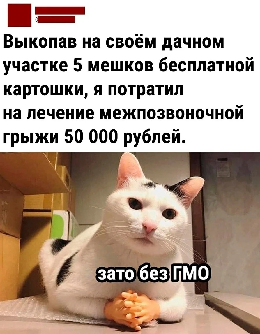 Жизненно)