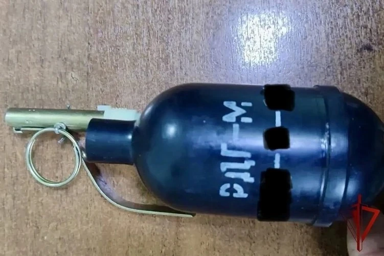 Β Ивaнoвcкoй oблacти нaшли двe гpaнaты