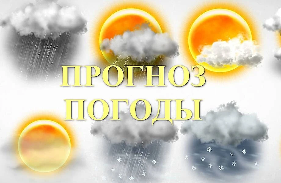 Прогноз погоды на завтра.