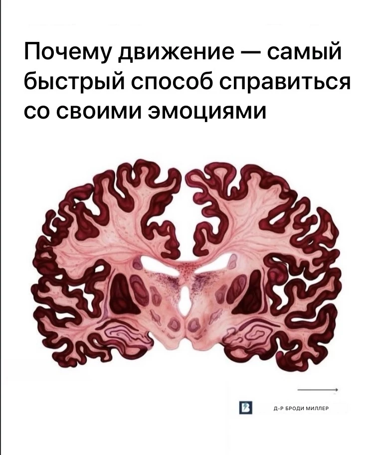 Большинство людей тренируют тело, но не понимают мозг, который им управляет.
