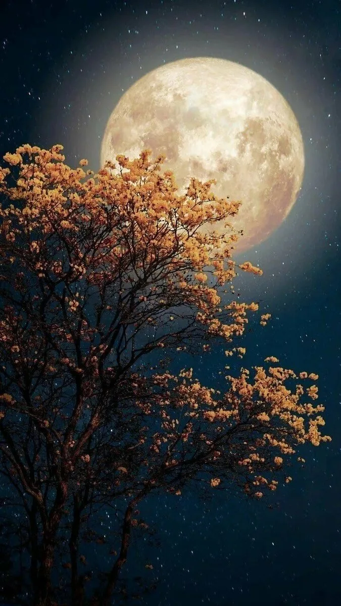 Доброй и мирной вам ночи ✨🙏