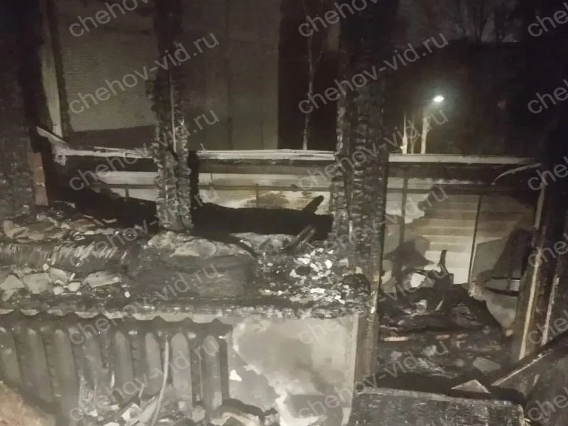 Ночной пожар в Чехове унес жизнь человека