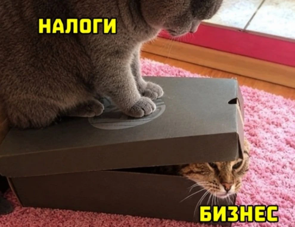 Ещё сильнее повысить налоги для бизнеса предложили в России