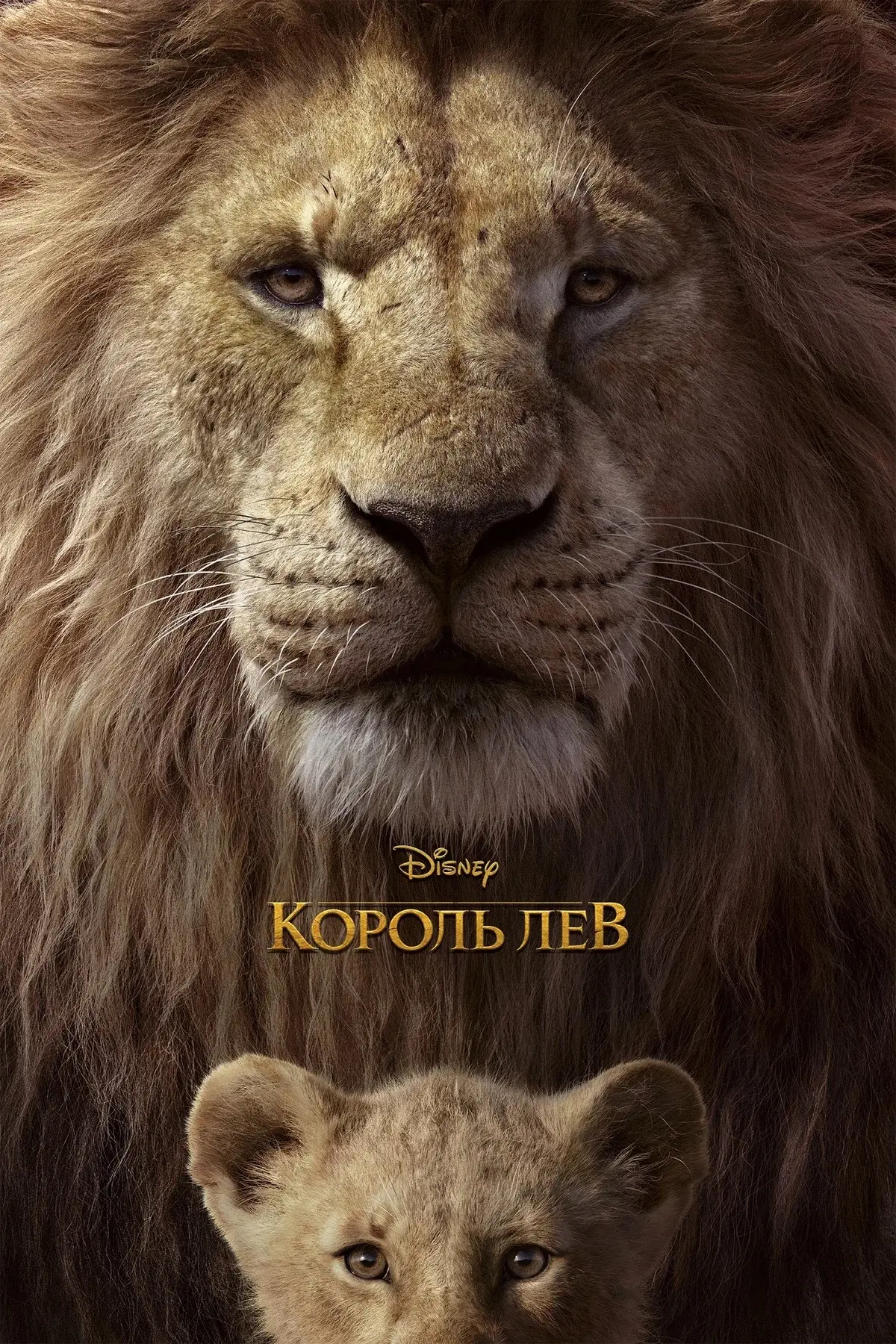 Король Лев ⭐️