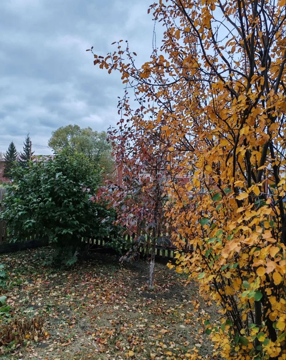 Дома в деревне тааааак хорошо!!! 🧡🍂🥰