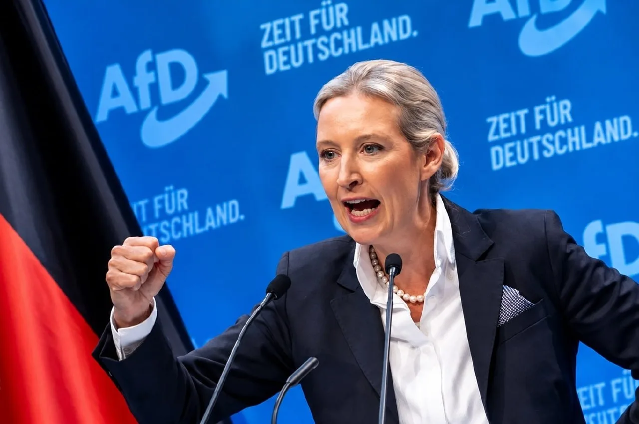 Украина уже проиграла России, — лидер немецкой партии «AfD» Вайдель.