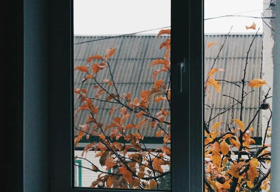 🌫️ Доброе пасмурное утро, дорогие подписчики!