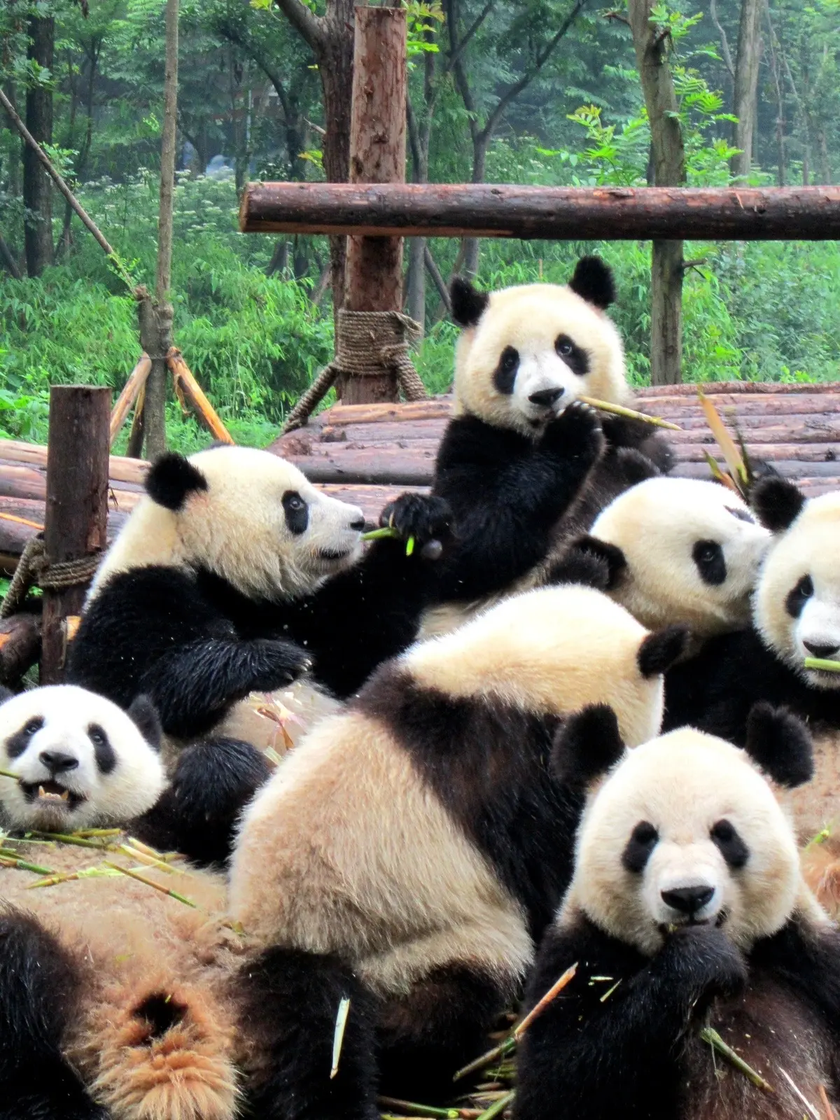 🇨🇳 НОЯБРЬ ИДЕАЛЬНОЕ ВРЕМЯ ПОСМОТРЕТЬ КИТАЙ НЕ ТОЛЬКО ПО ОТКРЫТКАМ