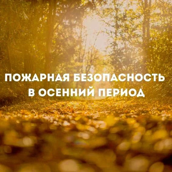 🔥Осенью возрастает количество пожаров, связанных с разведением костров на природе, а т...