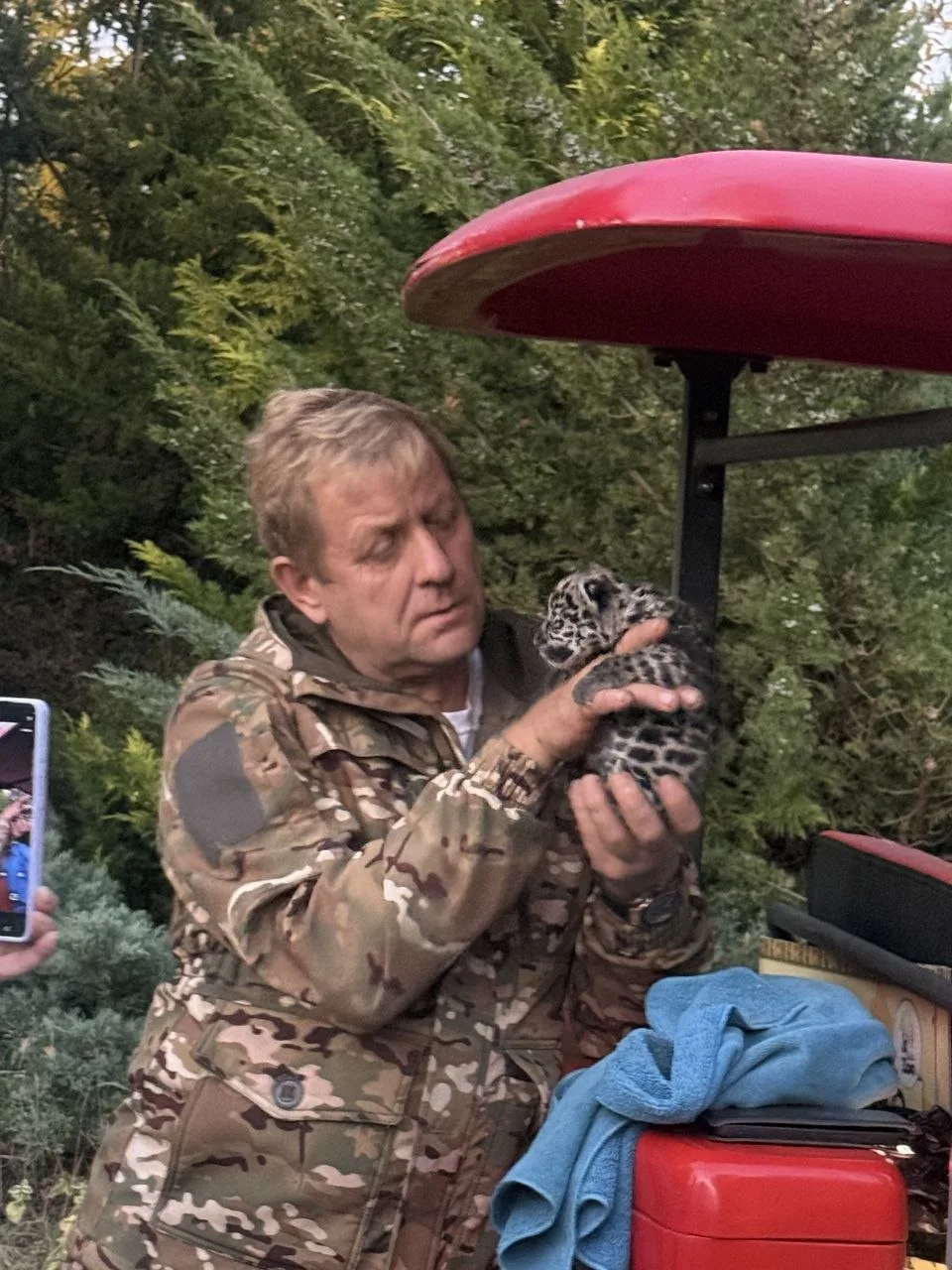 Родился ягуарчик, но от мамы пришлось забрать, она агрессирует. Если всё  будет хорошо,...