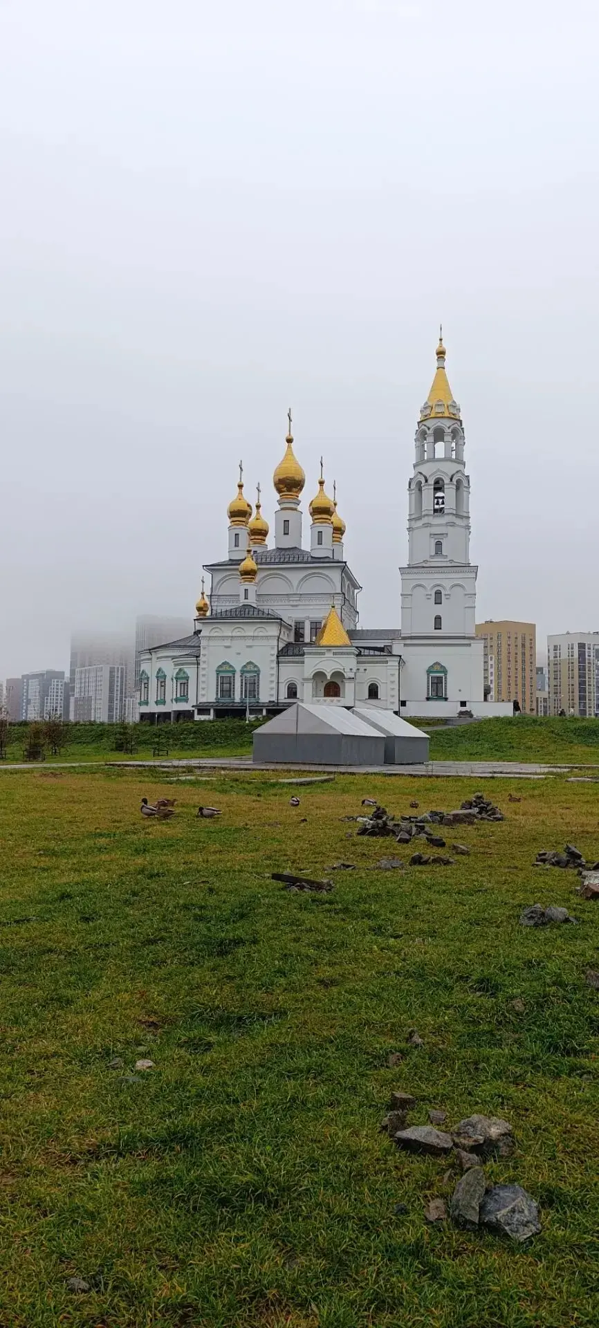 Утро туманное.