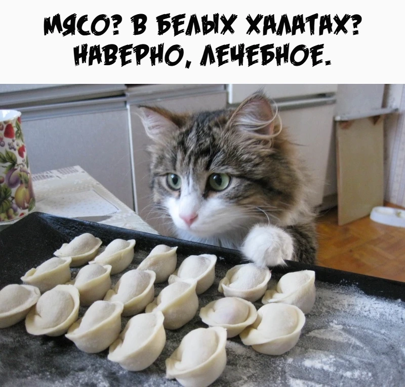 КуЗьМа в ТеМе