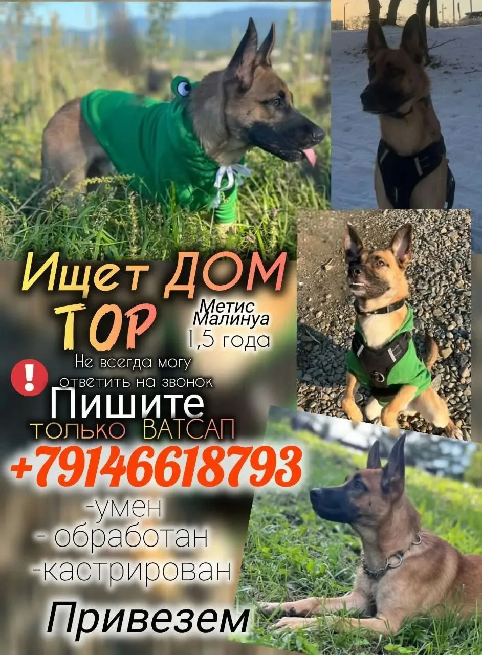 г. Большой Камень