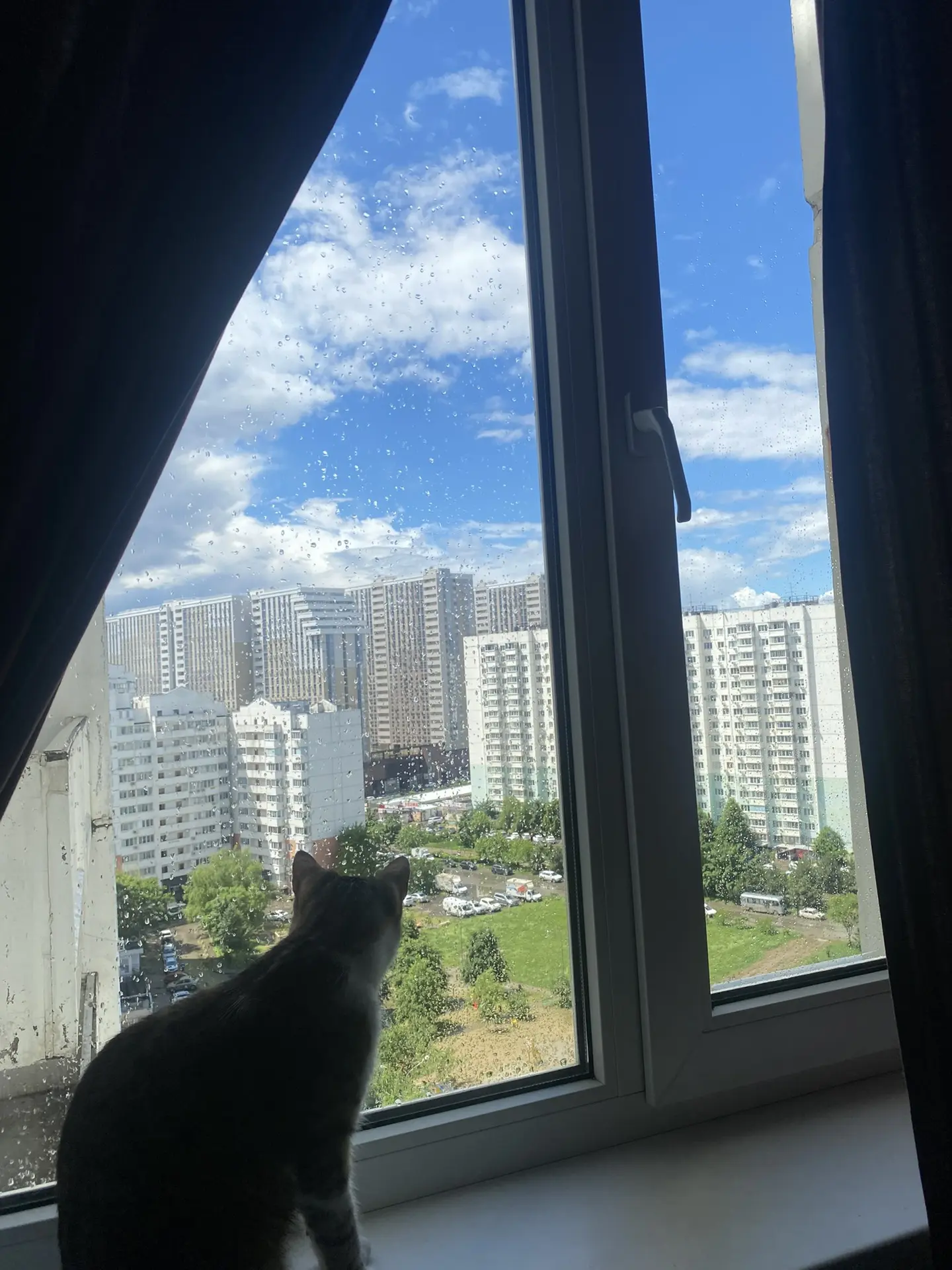 Скоро мой сыночка славный от меня съедет и убираться будет некому🥲