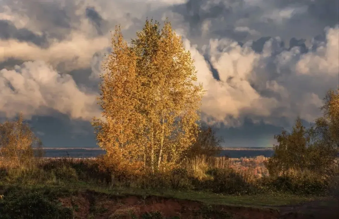 Осень. 🍂