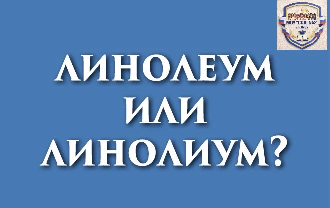 ✍️ ПИШИ ПРАВИЛЬНО