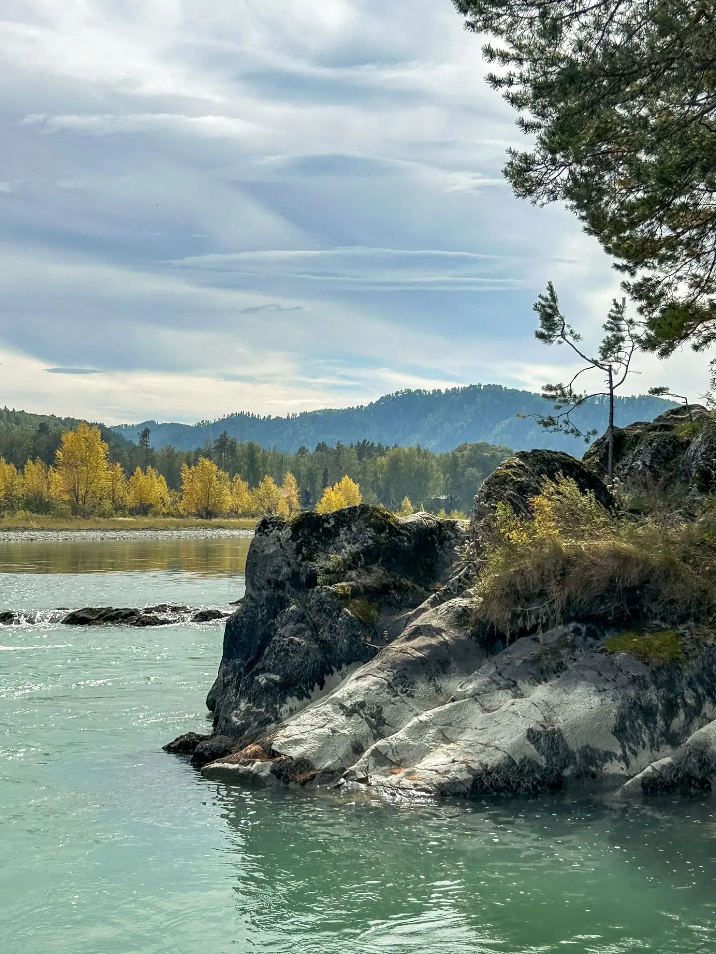 🏔️🍁🏔️🍁🏔️... Конкурс любительских фотографий "Золотая осень на Алтае" продолжается!...