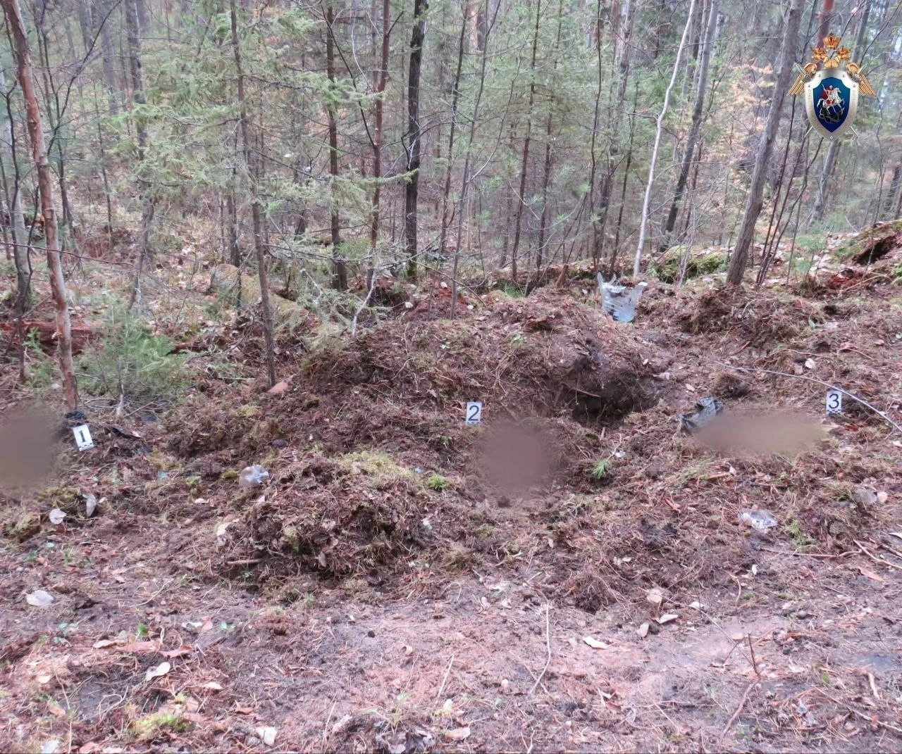 🐻 Двоих мужчин растерзали медведи в Приангарье