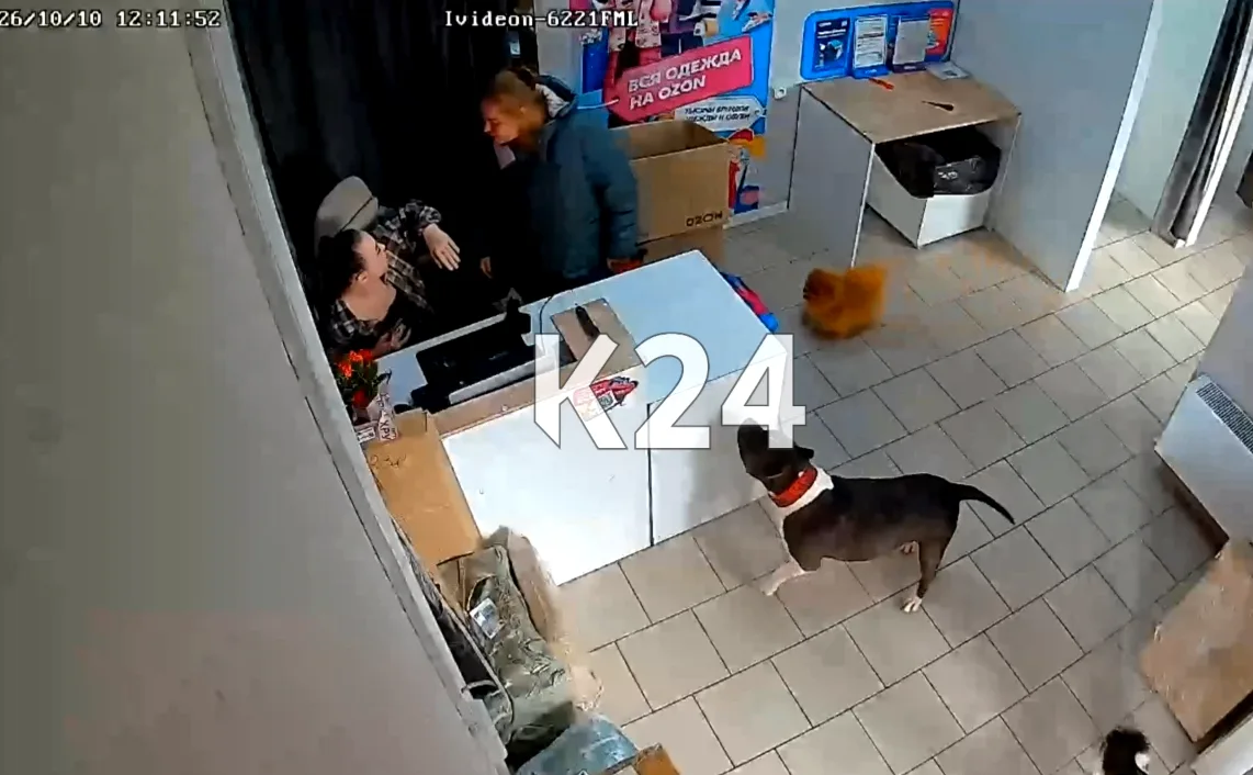 ⚡⚡«Разнесу весь пункт ваш»: в Красноярске неадекватная клиентка напала на сотрудницу ПВ...