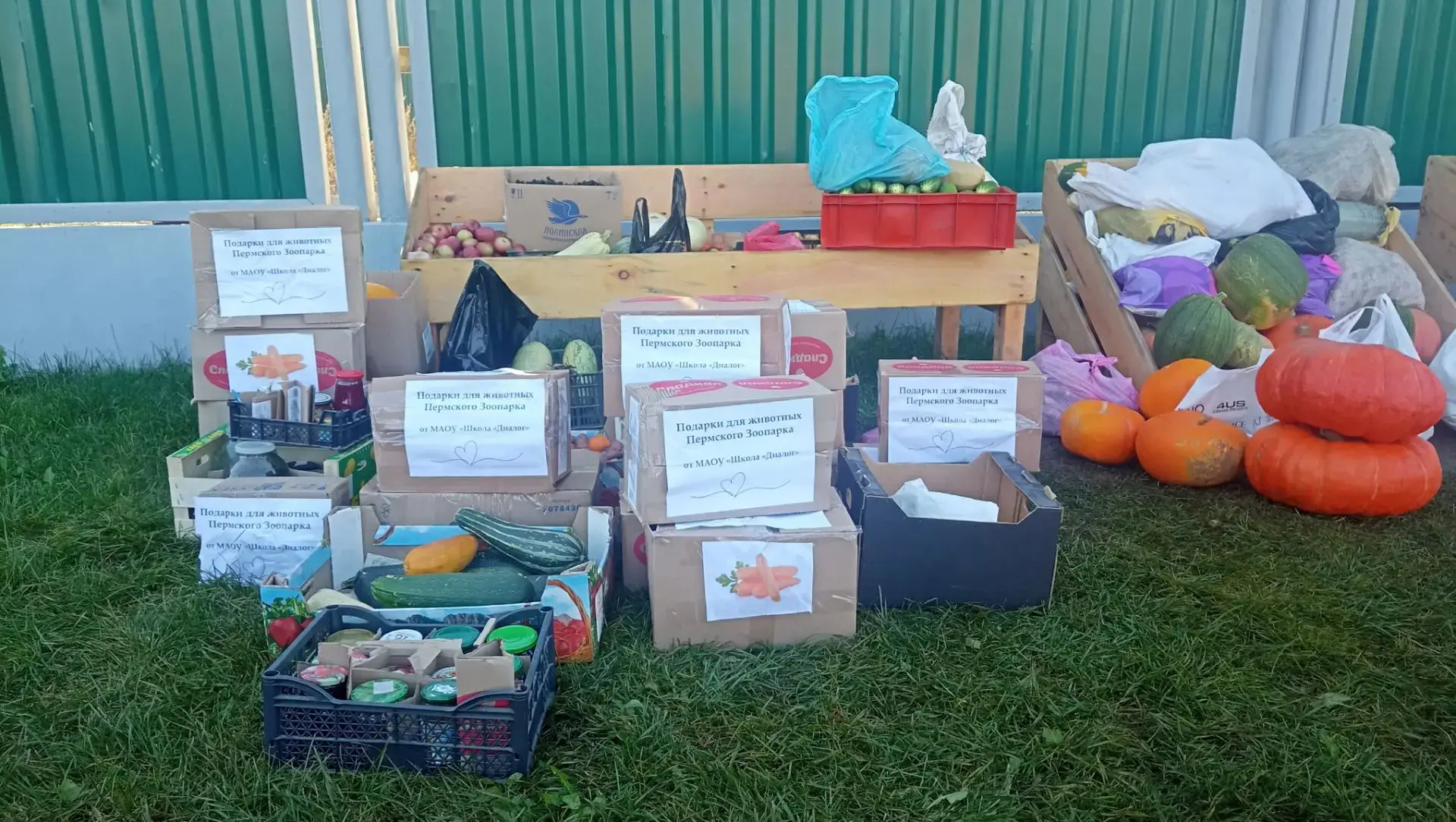 🍎🥕 СВЕРШИЛОСЬ! НАШИ ГОСТИНЦЫ ОТПРАВИЛИСЬ В ЗООПАРК! 🚙🦔