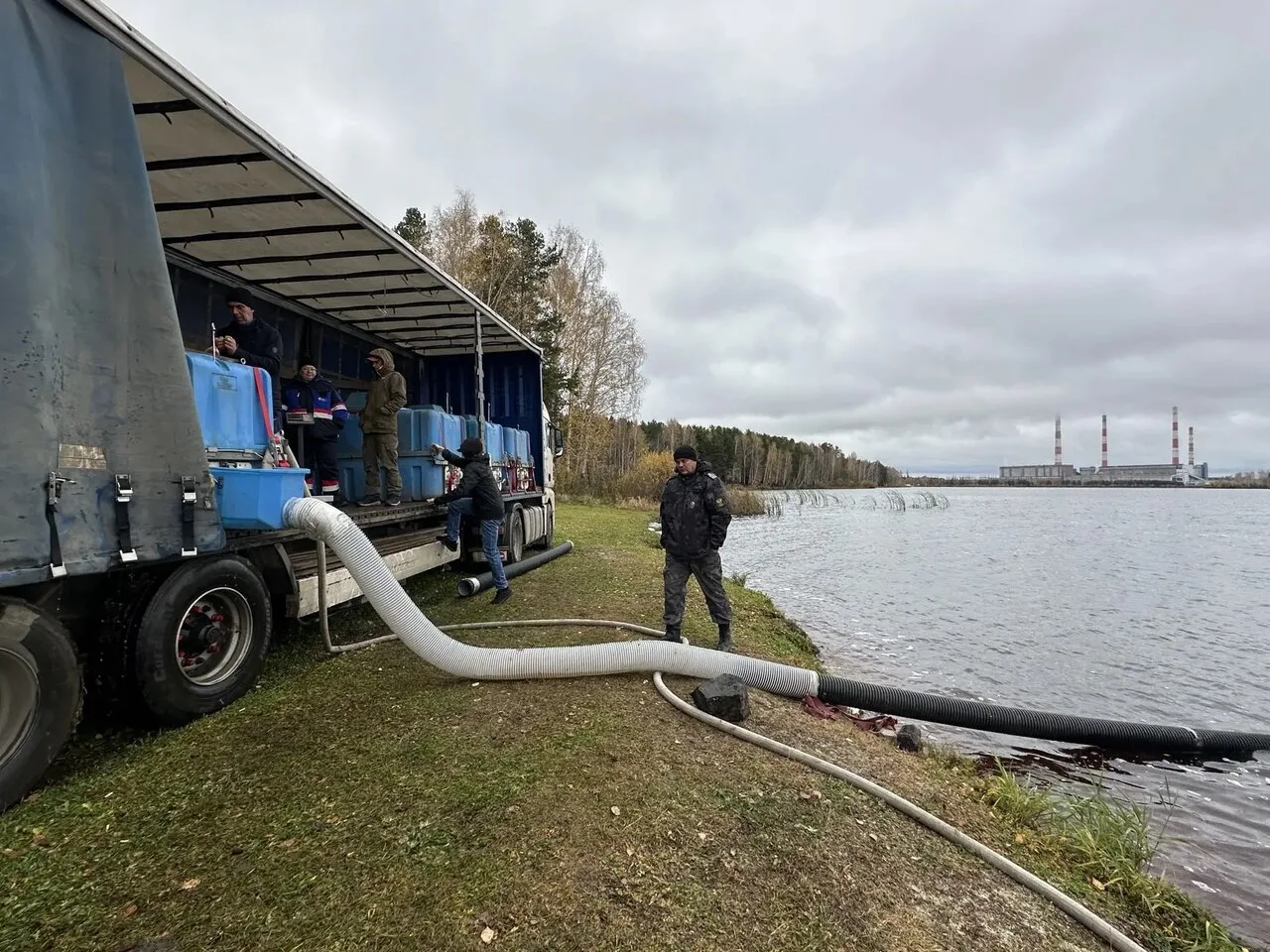 Рефтинская ГРЭС продолжает зарыбление местного водохранилища