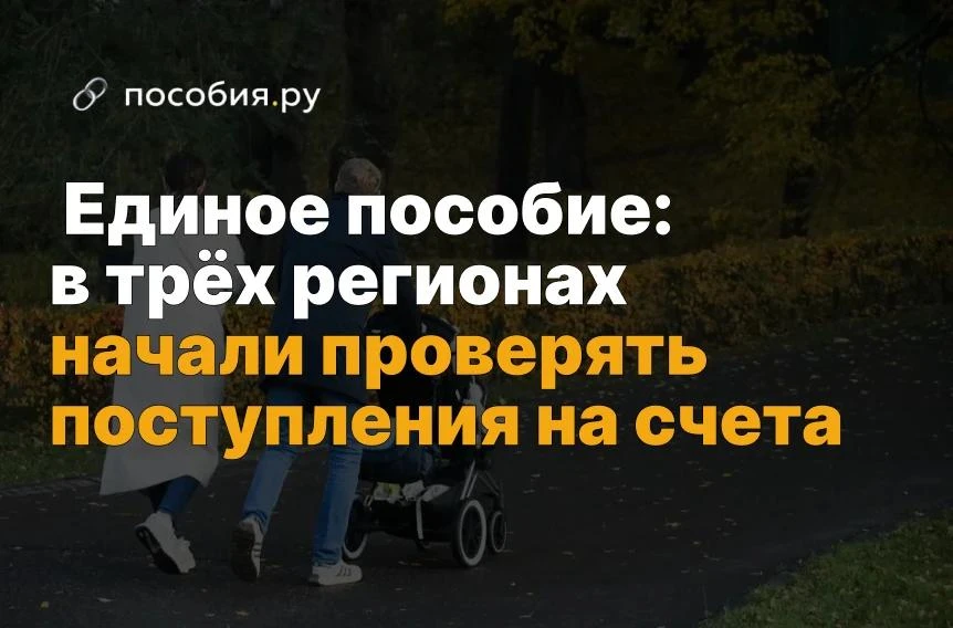 ❗️ Единое пособие: в трёх регионах проверяют поступления на счета
