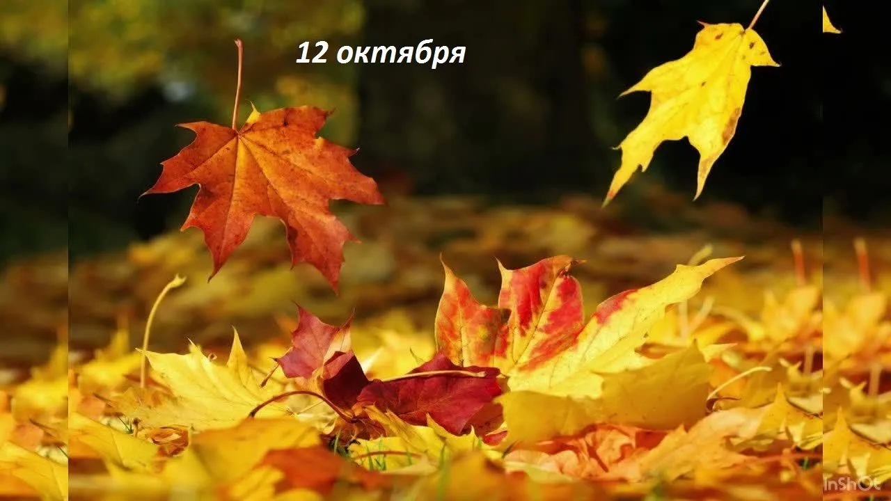 Доброе утро!