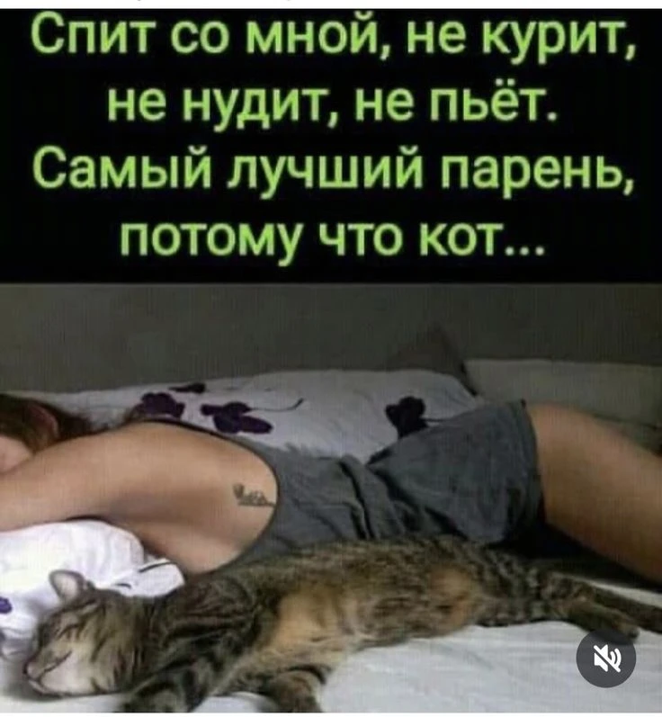 😂 Чисто поржать 🤣
