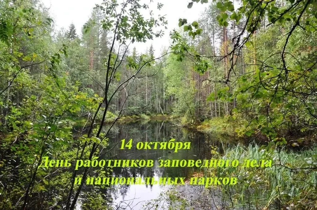 ДЕНЬ В ИСТОРИИ – 14 ОКТЯБРЯ