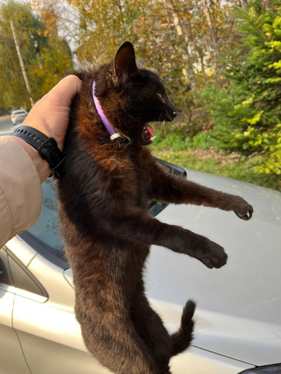 Артём Хасанская - котик из под капота авто , сколько там ездил не понятно , ещё паркую ...
