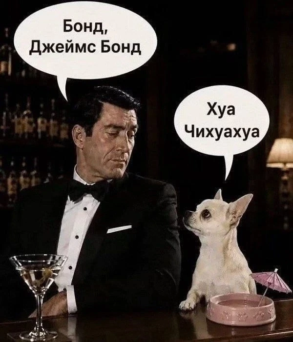 Подпишись, чтобы не потерять👇